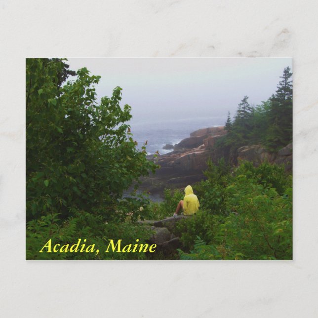 Acadia, Maine Postcard (Front)