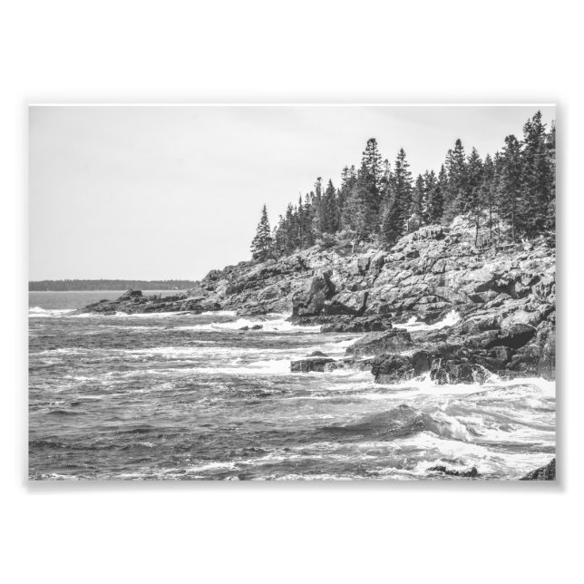 Acadia Maine Rocky Coastline Black and White Photo Print (Front)