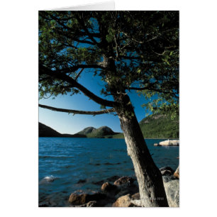 Acadia National Park , London Pond , Maine