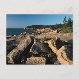 Acadia National Park , Maine 2 Postcard