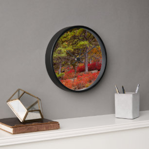 Acadia National Park, Maine Clock
