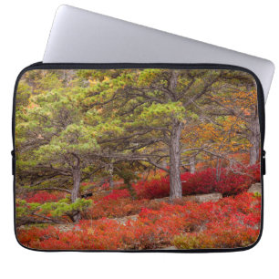 Acadia National Park, Maine Laptop Sleeve