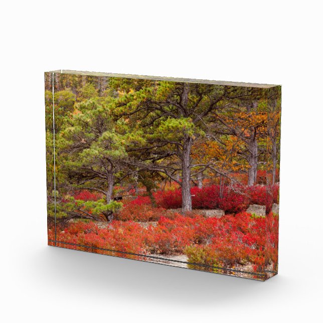 Acadia National Park, Maine Photo Block (Right)