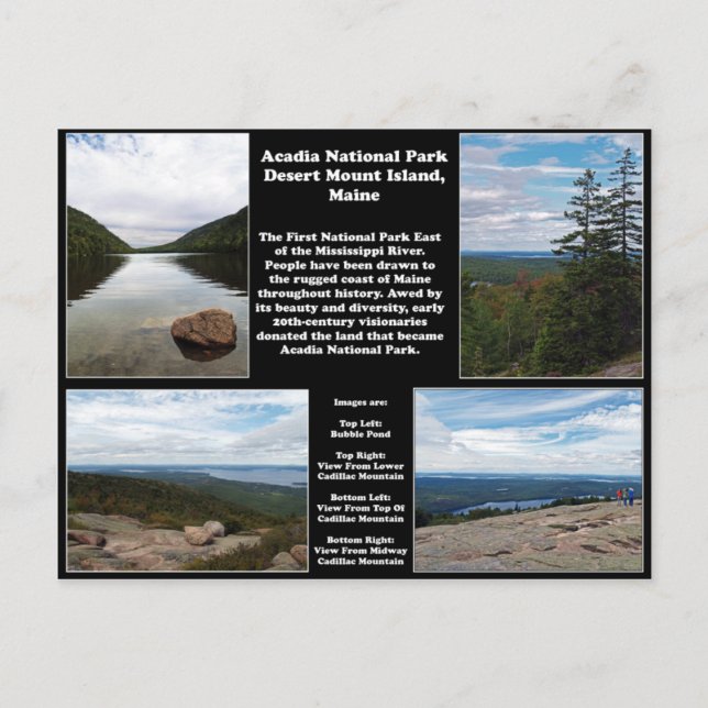 Acadia National Park Postcard (Front)