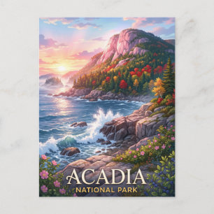 Acadia National Park Rocky Coast Postcard