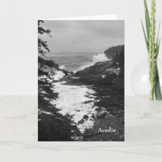 Acadia Surf Notecard - 8