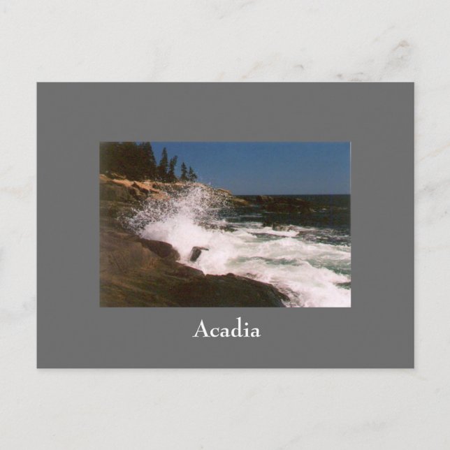 Acadia Surf Postcard - 1 (Front)