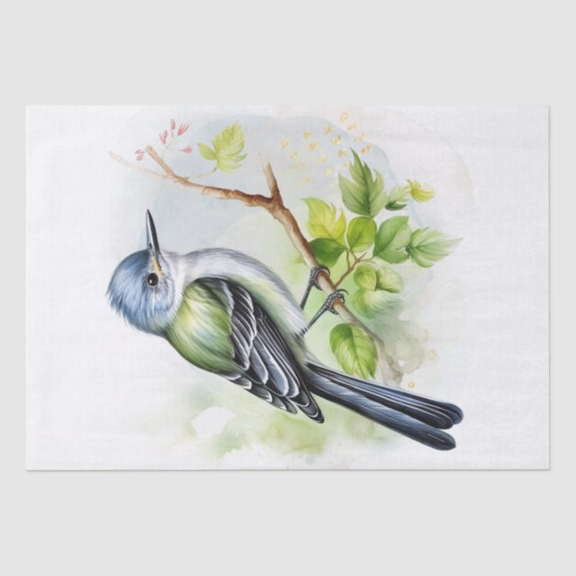 Acadian Flycatcher Bird Tissue Paper (Front)