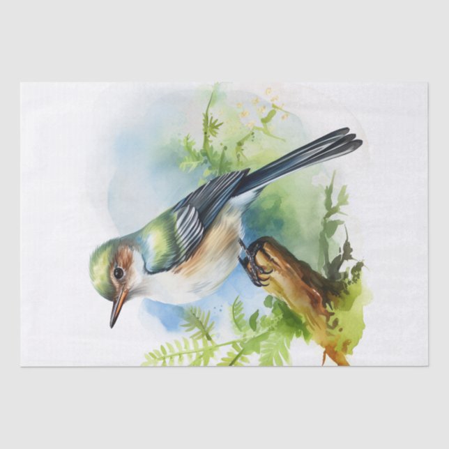 Acadian Flycatcher Bird Tissue Paper (Front)