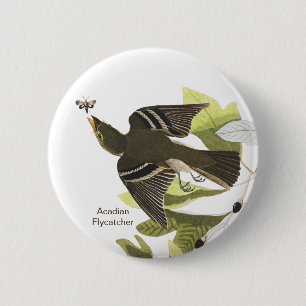 Acadian Flycatcher, John James Audubon Birdwatcher 6 Cm Round Badge