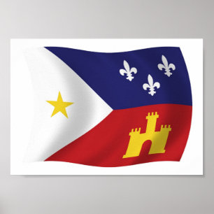 Acadiana Flag Poster Print
