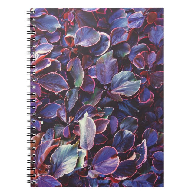 Acalypha Wilkesiana Notebook (Front)