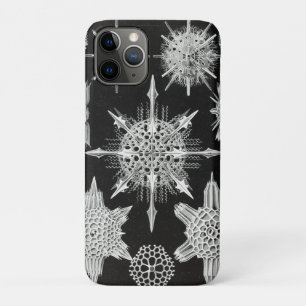 Acanthophracta, Wunderstrahlinge Aquatic Animal Case-Mate iPhone Case