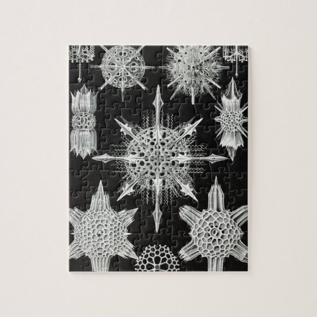 Acanthophracta, Wunderstrahlinge Aquatic Animal Jigsaw Puzzle (Vertical)