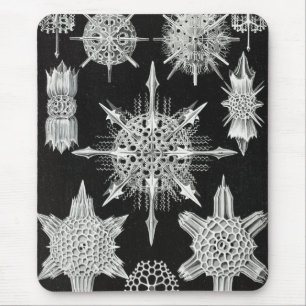 Acanthophracta, Wunderstrahlinge Aquatic Animal Mouse Pad