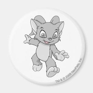 Acara Silver Magnet