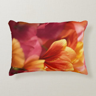 Accent Pillow