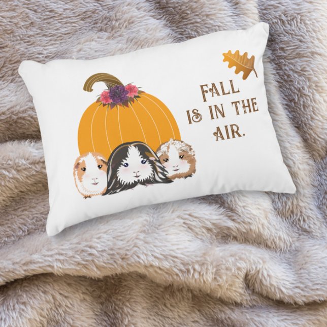 Accent Pillow Guinea Pig Fall (Creator Uploaded)