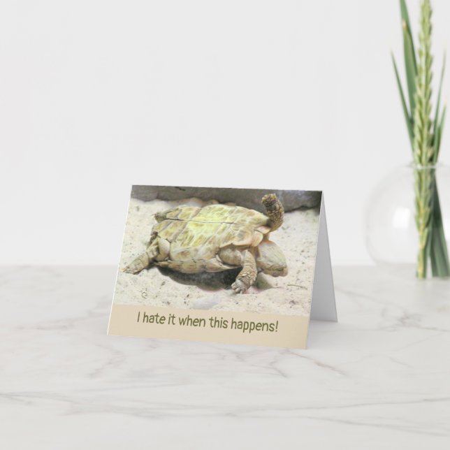 ACCIDENT HIUMOR/TURTLE TURNED ON ITS BACK CARD (Front)
