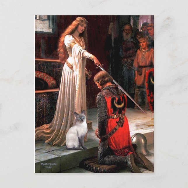 Accolade - Blue Point Siamese cat Postcard (Front)