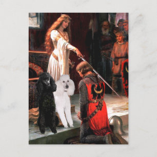Accolade - Poodle (TWO Standard) Postcard