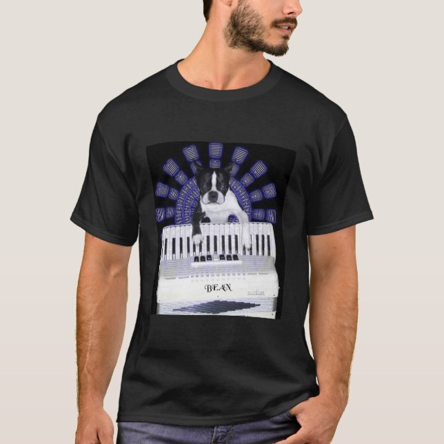 Accordian for hire T-Shirt (Front)