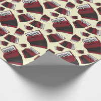 Accordion Instrument Musician Music Teacher