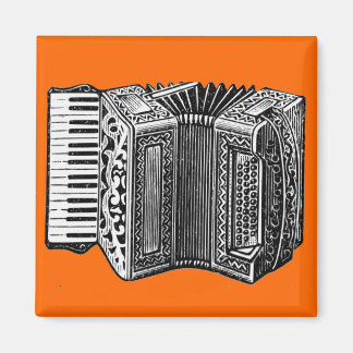 Accordion Magnet