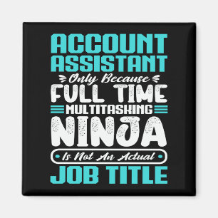 Account Assistant Job Title Professional Skills Magnet