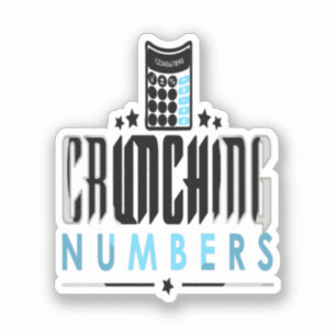 Accountant - Crunching Numbers