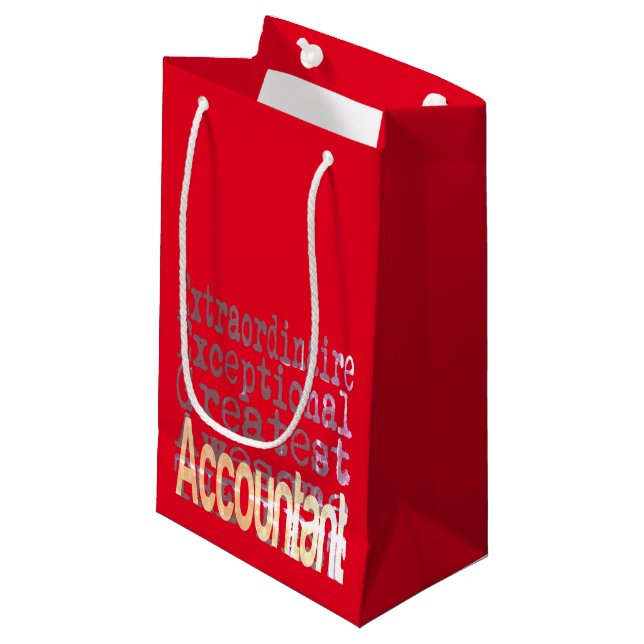 Accountant Extraordinaire Small Gift Bag (Front Angled)