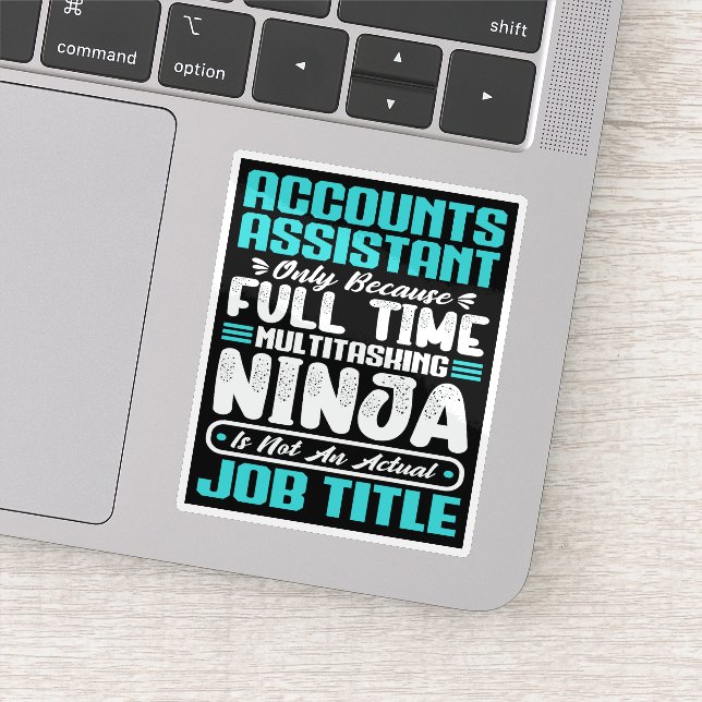 Accounts Assistant Job Title Profession Skills Fun (Detail)