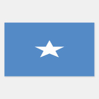 ACCURATE Bonnie Blue Flag Glossy Rectangle Sticker