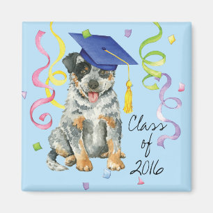 ACD Graduate Magnet