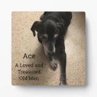 Ace, A Loved and Treasured Old Man