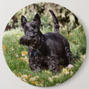 Ach 6 Cm Round Badge