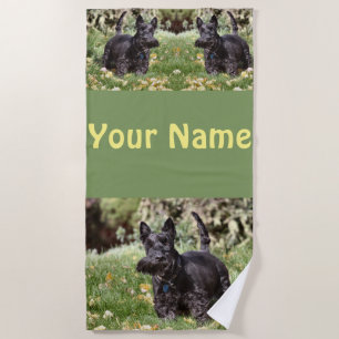 Ach  beach towel