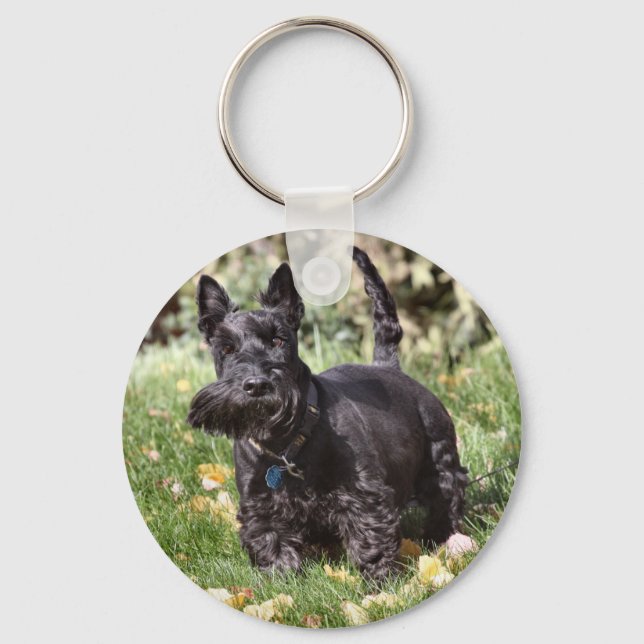 Ach Key Ring (Front)