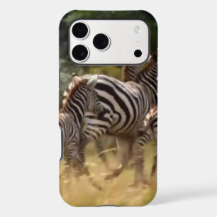 Achempong Zebras on the Move: A Journey Thousand M