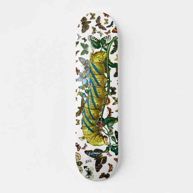 Acherontia atropos caterpillar skateboard (Front)