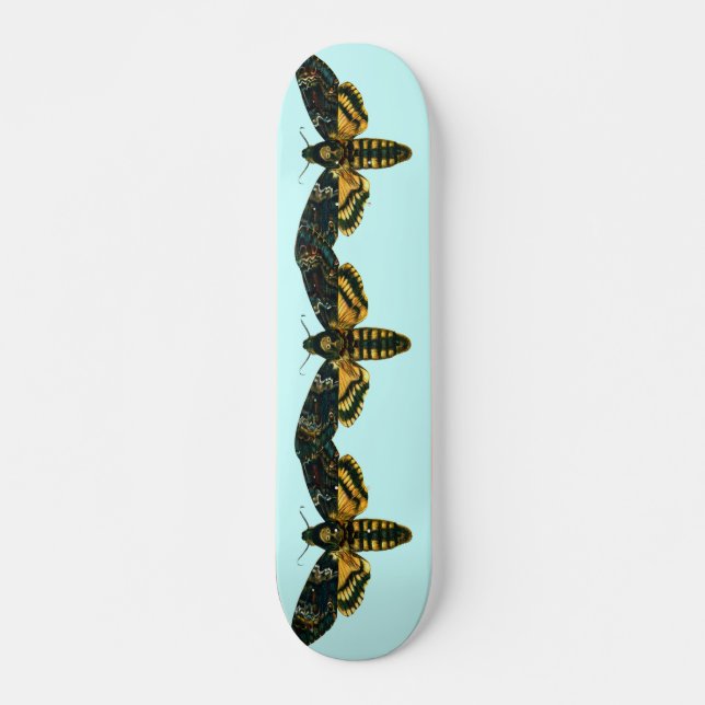 Acherontia atropos (Death's Head Hawkmoth) Skateboard (Front)