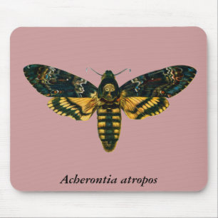 Acherontia atropos mouse pad