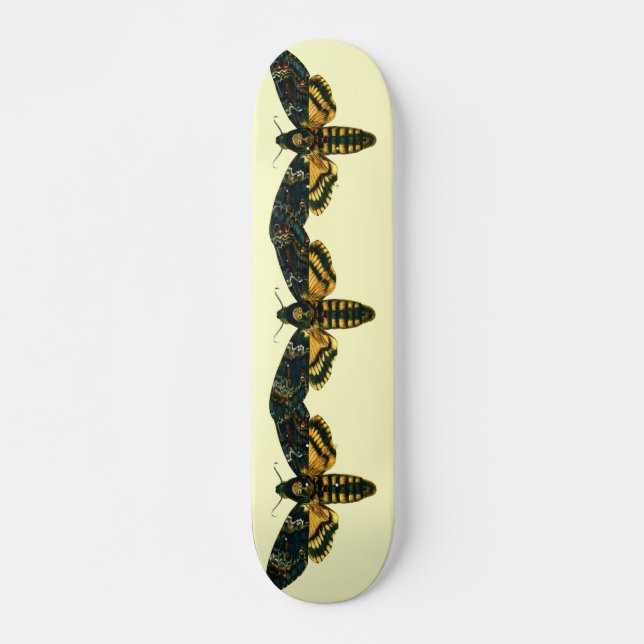Acherontia atropos skateboard (Front)