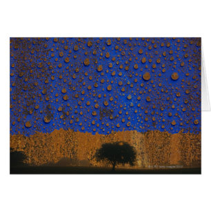Acid rain & environmental pollution