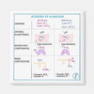 Acidosis vs. Alkalosis Magnet (Nonflexible)
