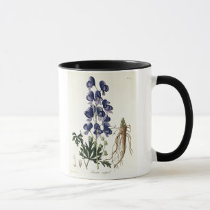 Aconitum Napellus from 'Phytographie Medicale' by Mug