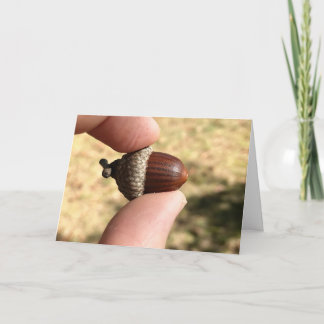 Acorn Card