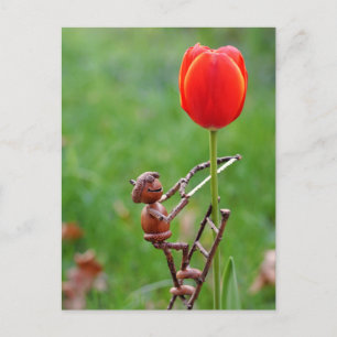 Acorn elf as tulip gardener spring postcard