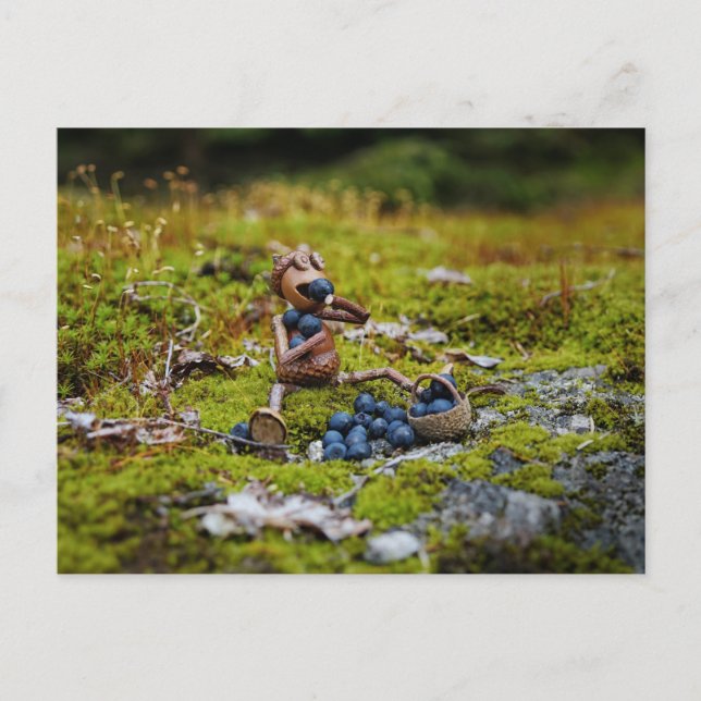 Acorn elf eating blueberries on the moss postcard (Front)