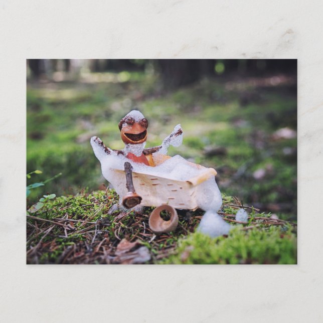 Acorn elf having a bath in the forest postcard (Front)
